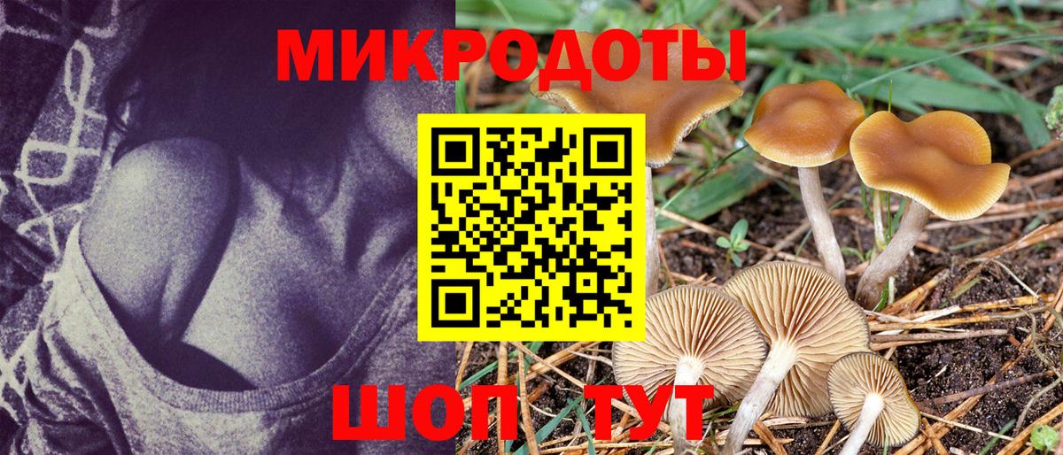 Галлюциногенные грибы Cubensis  Вход с VPN  Еманжелинск 